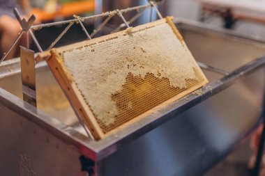  Hazır ürünlerle dolu balmumu hücrelerini açmak için arıcılık araçları kullanıyorlar. Yüksek kalite fotoğraf