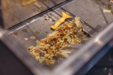  Hazır ürünlerle dolu balmumu hücrelerini açmak için arıcılık araçları kullanıyorlar. Yüksek kalite fotoğraf