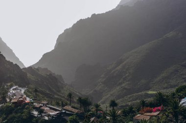 Teide yanardağının panoramik görüntüsü ve... Tenerife Kanarya Adaları İspanya. Yüksek kalite fotoğraf