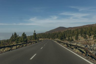 Teide volkanının tabanına ulaşmak için rota. Tenerife Kanarya Adaları İspanya. Yüksek kalite fotoğraf