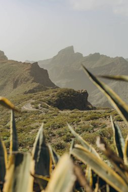 Teide volkanının tabanına ulaşmak için rota. Tenerife Kanarya Adaları İspanya. Yüksek kalite fotoğraf