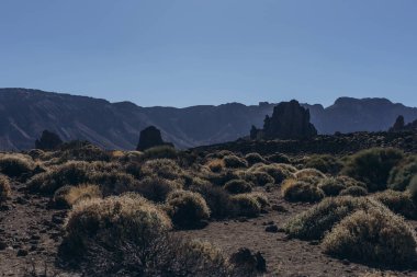 Teide volkanının tabanına ulaşmak için rota. Tenerife Kanarya Adaları İspanya. Yüksek kalite fotoğraf