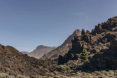 Teide volkanının tabanına ulaşmak için rota. Tenerife Kanarya Adaları İspanya. Yüksek kalite fotoğraf