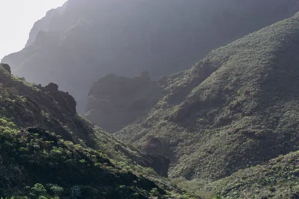 Teide yanardağının panoramik görüntüsü ve... Tenerife Kanarya Adaları İspanya. Yüksek kalite fotoğraf