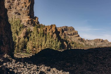 Teide volkanının tabanına ulaşmak için rota. Tenerife Kanarya Adaları İspanya. Yüksek kalite fotoğraf