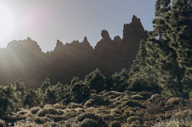 Teide volkanının tabanına ulaşmak için rota. Tenerife Kanarya Adaları İspanya. Yüksek kalite fotoğraf