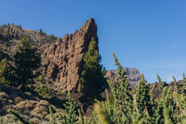 Teide volkanının tabanına ulaşmak için rota. Tenerife Kanarya Adaları İspanya. Yüksek kalite fotoğraf