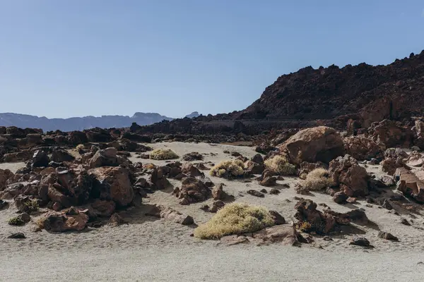 Teide yanardağının panoramik görüntüsü ve... Tenerife Kanarya Adaları İspanya. Yüksek kalite fotoğraf