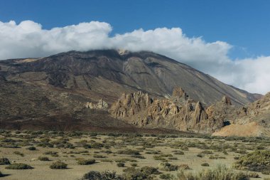 Teide volkanının tabanına ulaşmak için rota. Tenerife Kanarya Adaları İspanya. Yüksek kalite fotoğraf