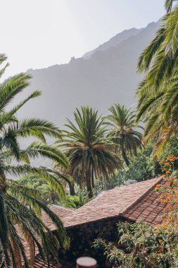 Teide yanardağının yanındaki milli parkta çiçeklerle dolu manzaralı bir yol. Yüksek kalite fotoğraf