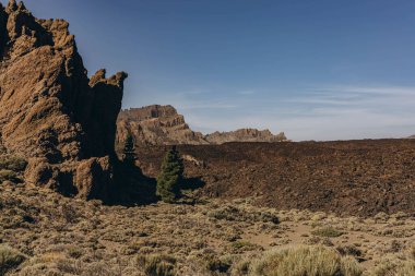 Teide volkanının tabanına ulaşmak için rota. Tenerife Kanarya Adaları İspanya. Yüksek kalite fotoğraf