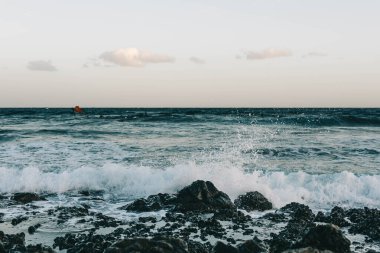 Kanarya Adası, Tenerife-14 Aralık 2023 Erkekler ve kız profesyonel sörfçü uçurtma ve tahtasıyla kumsalda duruyorlar. Rüzgâr sörfü, Ekstrem Spor. Yüksek kalite fotoğraf