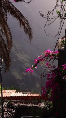 Teide yanardağının yanındaki milli parkta çiçeklerle dolu manzaralı bir yol. Yüksek kalite fotoğraf