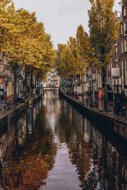 Hollanda, Amsterdam- 11 Ekim 2024, Picturesque sonbahar sahnesi. Yüksek kalite fotoğraf
