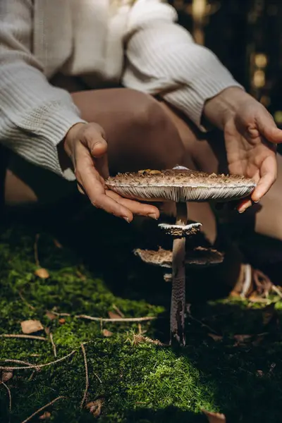 Ormanda Macrolepiota Procera mantarı arayan genç bir kadın. Yüksek kalite fotoğraf