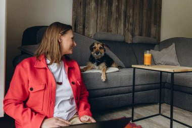 Evde dizüstü bilgisayarla uzaktan çalışan bir kadın, kanepede yatan köpeğine gülümsüyor. Sıcak atmosfer, iş hayatı dengesi ve evcil hayvanlarla duygusal bağ. Yüksek kalite fotoğraf