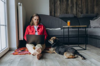 Evde dizüstü bilgisayarla çalışan serbest çalışan bir kadın, rahat oturma odasında yerde oturuyor, yalınayak ve rahatlamış, köpeğini okşuyor. Uzaktan çalışma ve hayvan dostu yaşam tarzı konsepti. Yüksek kalite fotoğraf