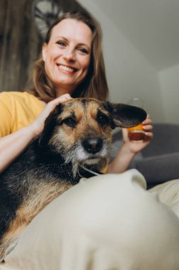 Köpeği ve bir bardak taze meyve suyuyla evde dinlenen bir kadın. Uzaktan çalışma, sağlıklı yaşam tarzı, evcil hayvan arkadaşlığı ve rahat ev atmosferi kavramı. Yüksek kalite fotoğraf