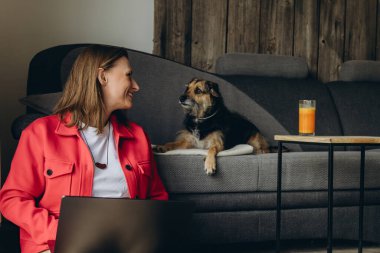 Evde dizüstü bilgisayarla uzaktan çalışan bir kadın, kanepede yatan köpeğine gülümsüyor. Sıcak atmosfer, iş hayatı dengesi ve evcil hayvanlarla duygusal bağ. Yüksek kalite fotoğraf