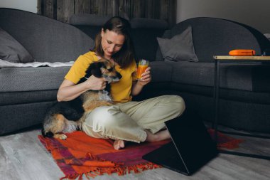Uzaktan bilgisayarla çalışan, elinde meyve suyu olan, yerde köpeğiyle oturan gülümseyen bir kadın. Serbest çalışma anlayışı, sağlıklı yaşam tarzı ve evcil hayvanla iletişim. Yüksek kalite fotoğraf