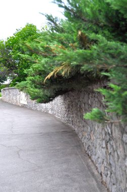 Yol boyunca duvar örülüyor, çalılar büyüyor, duvarın, sokağın, sokağın, ağaçların üzerinde asılı.