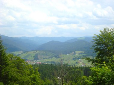 Dağdan sisli tarlalara, Karpatlar, Alpler, kayalar, ovalar, vadiler, kozalaklı ormanlar, üst manzara