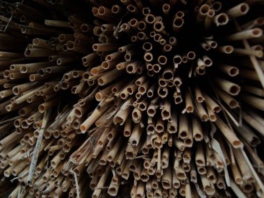 koyu kahverengi saman tanecikleri, yakın saman