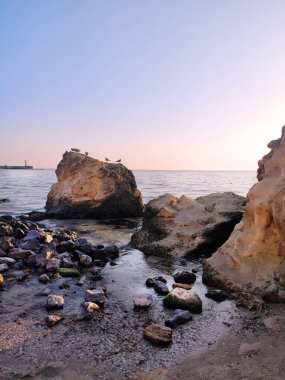 Mor gün batımı, deniz kenarında gün doğumu. Martılı sahil taşları, gelgit, sörf, dinlenme. mavi gökyüzü