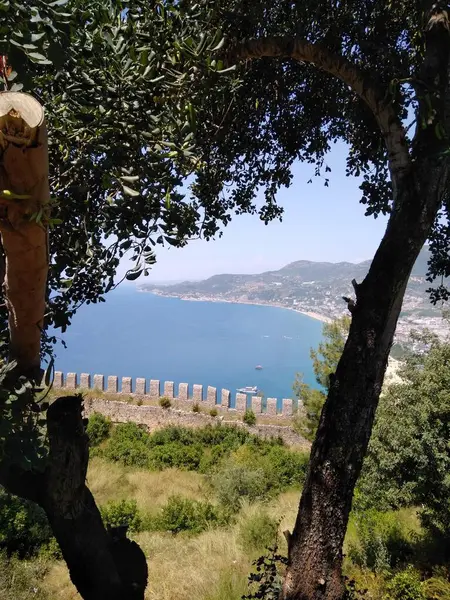 Alanya, deniz manzarası, dağların körfezi, ağaçların gölgesi, kuleler, kale duvarı.