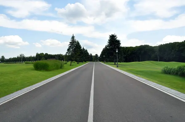 Asfalt yol mesafeye doğru uzanıyor. Perspektif, orman ve çimler arasında uzun ve ıssız bir yol. Otoban otoyolu
