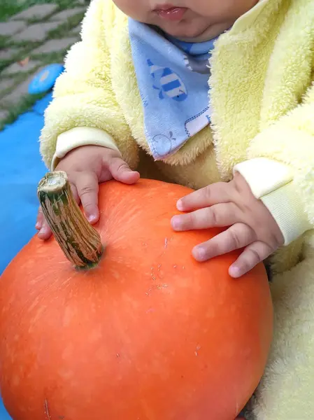 Sarı tulumlu küçük bir bebek cadılar bayramı portakalı kabağı tutuyor.