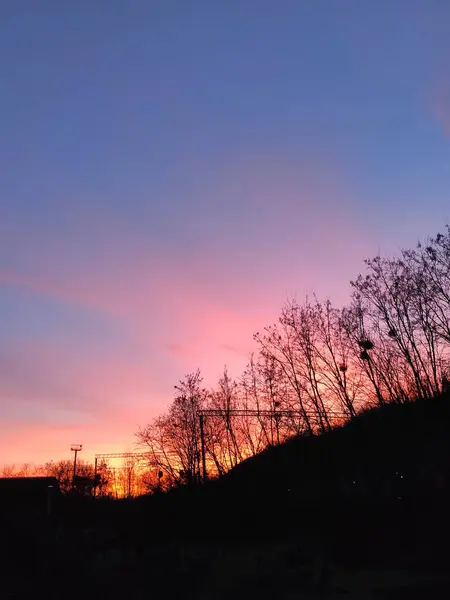 Mor ve pembe gökyüzü siluetli ağaçların ve tepelerin üzerinde renkli bir günbatımı. Parlayan ufukta demiryolu elektrik hatları görünüyor.
