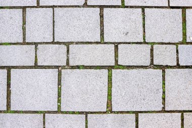 Gri, eskimiş çimento desenli, taşların arasında çimen yetişiyor. Beton duvar dokusu. Kaldırım deseni. Endüstriyel geçmiş. Üst görünüm.