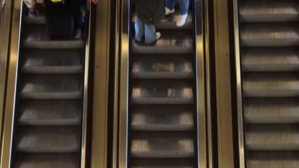 メトロのツリーエスカレーターが上下に上がり 人々を地下鉄駅に運ぶ 乗客は移動する階段の上に立っている ビデオクリップをループします 上からの眺め — ストック動画