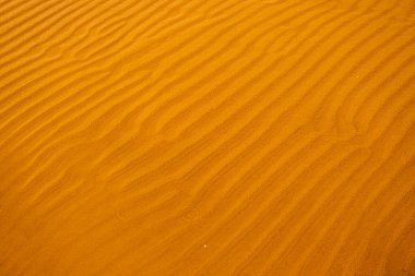 Tüm arka planda deniz suyu olan kusursuz ıslak kum. Boş dalgalı kumlu deniz tabanı. Egzotik Sandy Ocean plaj yüzeyi. Üst Manzara. Basit, minimalist bir fotoğraf. Pankart, poster ve reklamlar için ideal bir kavram..