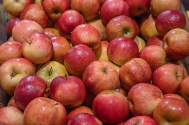 Çiftçi pazarındaki Pyle of Apples. Yiyecek dükkanında bir sürü kırmızı ve yeşil elma var. Konteynırdaki olgun elmaların arka planı. Apple Variety 'de. Üst Manzara. Düz yatıyordu. Seçici odak.