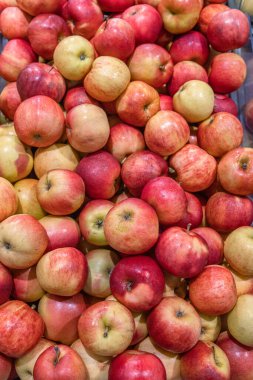Çiftçi pazarındaki Pyle of Apples. Yiyecek dükkanında bir sürü kırmızı ve yeşil elma var. Konteynırdaki olgun elmaların arka planı. Apple Variety 'de. Üst Manzara. Düz yatıyordu. Seçici odak.