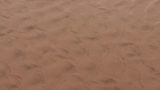 Närbild Sand Botten Med Små Vågor Flyter Till Stranden Regndag — Stockvideo