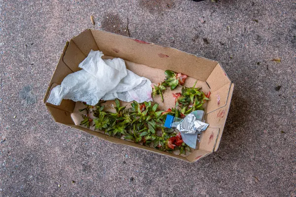 stock image Food leftovers after picnic thrown into the craft paper box left on the street. Strawberries green tops, used wipe, plastic packaging put into the carton container. Food wastes, garbage, trash, junk.