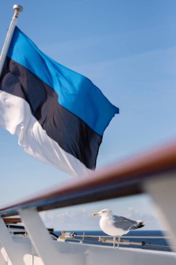 Estonya bayrağı, Baltık Denizi ve Martı rüzgarlarında estonya 'dan Finlandiya' ya giden feribotun güvertesinde yiyecek bekliyor. Arka planda mavi gökyüzü. Dikey. Uzayı kopyala Seçici odak.