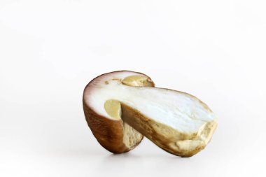 Dilimlenmiş yaban domuzu mantarı beyaz arka planda izole edilmiş. Solucanlı mantar dilimi. Mantar etindeki solucan izi. Kış için hasat. Kurutmaya hazırlanıyorum. Seçici odaklanma. Boşluğu kopyala