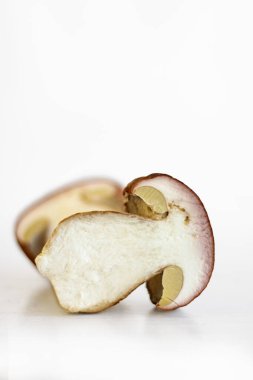 Beyaz arka planda yaban domuzu mantarı. Kurtlanmış boletus mantarı. Yarım dilim. Mantar etindeki solucan izi. Kış için hasat. Kurutmaya hazırlanıyorum. Seçici odaklanma. Boşluğu kopyala