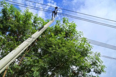 Arkasında ağaç ve gökyüzü olan elektrik direği, elektrik direği.