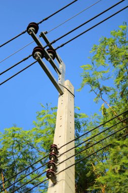 Arkasında ağaç ve gökyüzü olan elektrik direği, elektrik direği.