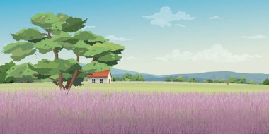 Tepedeki lavanta tarlalarında kır evleri ve vektör illüstrasyonunun arkasında dağ sıraları var..