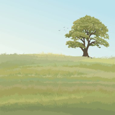 Büyük ağaç düz tasarımı ile minimalist manzara çim alanı boş bir alana sahiptir..