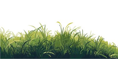 Yeşil çimen, beyaz arkaplanda gösterilmiş düz tasarım grafiği. Çimen çalıları yan görünüm nesne şablonu.