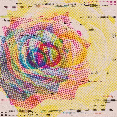 Gül çiçeğinin yarım ton CMYK ekran kusuru. Eski kağıt kare arkaplan grafikleri üzerine basılmış risograph baskı dokusu ve yazdırma mürekkebi boş alana sahip..