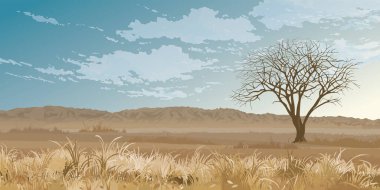 Sonbaharda bir çayırın ortasındaki yaprak döken ağaçlar ve uzaktaki dağ sıraları mavi gökyüzü arkaplan resimlerine sahiptir..