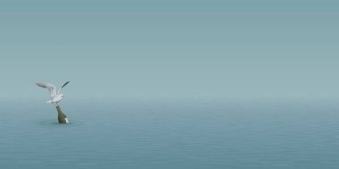 Minimalist deniz manzarasının ortasında bir şişe likörün üzerinde bir martı yüzer..